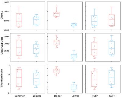 Reforestation of Cunninghamia lanceolata changes the relative abundances of important prokaryotic families in soil